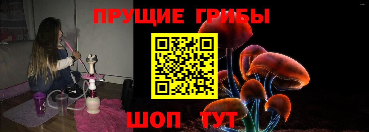 Галлюциногенные грибы Psilocybine cubensis  Вход с VPN  Донецк 